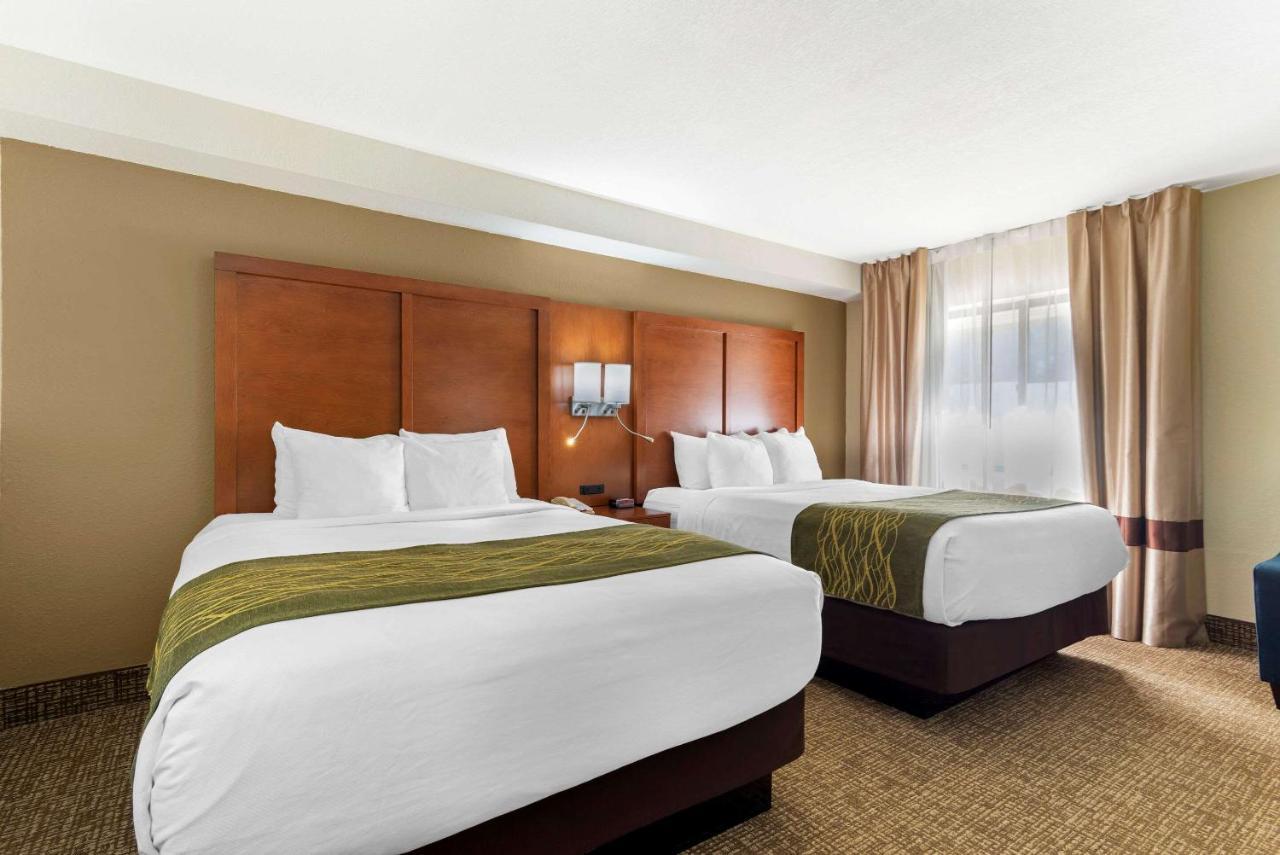 Comfort Inn & Suites - Near Robins Air Force Base Main Gate Warner Robins Eksteriør billede